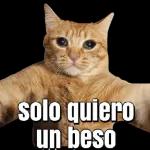callate