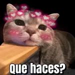 Qué estás haciendo