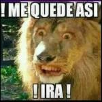 Quieres ser mi novia →