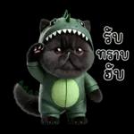 เหมียวดำ ไดโนเขียว