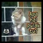 konto..