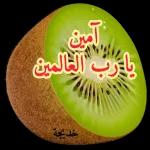 طنش
الحمير
تعيش
امیر