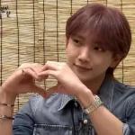 seventeen表情管理2 :: @fStikBot