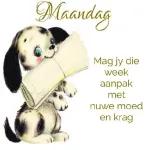 afrikaans