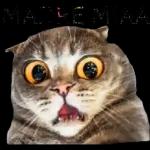 ¡No mames!