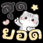 แมวมาร์คัส V.3 : HNY