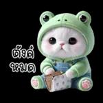 ข้าวต้ม ชุดกบ หน้าบูด