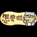 貓爪抓 -小小的你問我答抓-