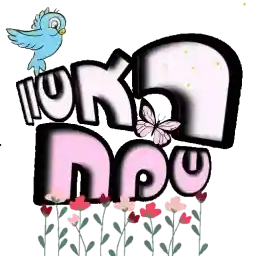 🎀🎀🎀🎀