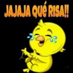 amor
