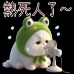 青蛙喵喵♡實用日常