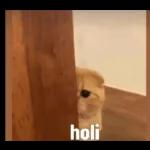 Muy Buen Día