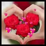 وعليكم السلام ورحمت الله وبركاته