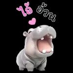 ฮิปโปรักดึงดงบิ๊ก