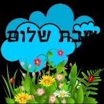 שבת שלום