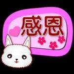 好期待