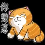 感恩，有你真好！！！