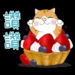 懶貓家族12 小太陽和家人-甜蜜草莓篇