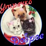 утро доброе