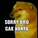 SORRY BRO
GAK NANYA