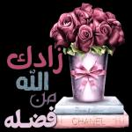 زادك الله من فصاله Beauty & elegance CHANEL