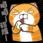 白烂猫：高清重制版 1