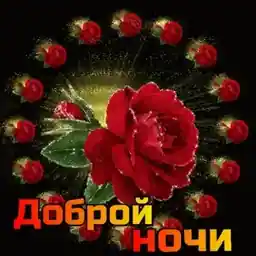 Наталья 