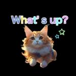 what‘s up🐱