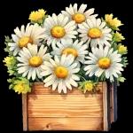 بسم القلعة عالیت