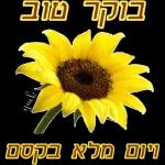 חמדמגים