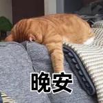 讚！