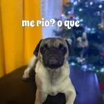 TE INVITO UN CAFÉ CON PAN