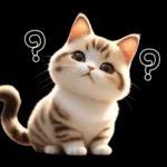 可愛的小肥貓🐱 