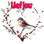 lief jou