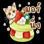 เบา
ได้
เบา