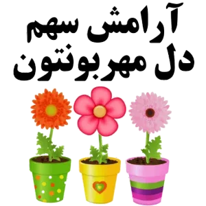 cIbD8h