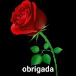 obrigada❤️🌹