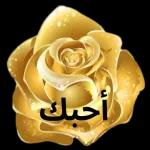 بحون على الخير