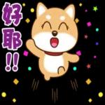 Q版柴犬日常實用貼圖