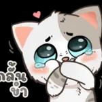 น้องมิน คาบรักมาฝาก