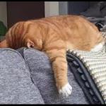 Aku perhati jer
budak ni...