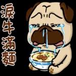 豆卡頻道-茶寶丸萌犬篇