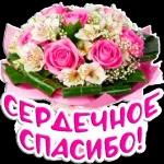 Надежда Игитова