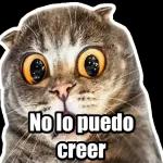 Esperando que contestes
