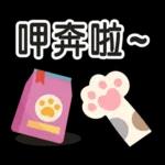 ♡ 貓咪愛你 ♡ 實用日常(含母親節祝福)
