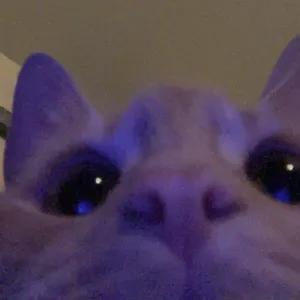 KP2aQu