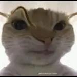 Ladra bien, no te entiendo