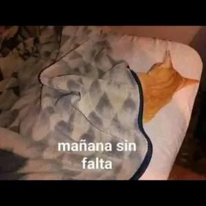 Kfce89