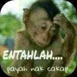 BUAT APA TU
