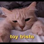 que miras bobo